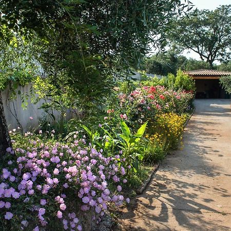 Girasole Villa Limni  외부 사진