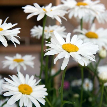 Girasole Villa Limni  외부 사진